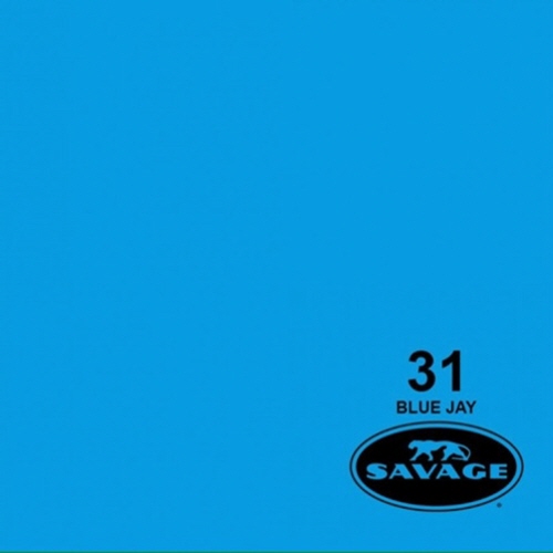 (사베지)종이 롤배경지 # 31 Blue Jay (가로136cm*세로1100cm)
